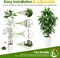 5ft Artificial Dracaena Tree – Faux Yucca with White Tall Planter for Home & Office Decor, Perfect for Housewarming